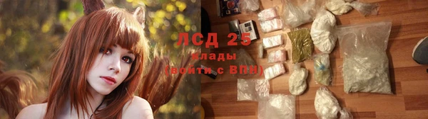 COCAINE Майский